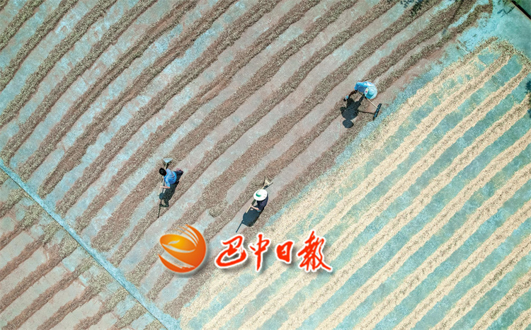 最是好景秋收時(shí)